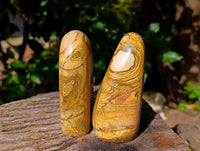 Polished Picture Stone Jasper Standing Free Forms x 2 From Ais-Ais, Namibia - Toprock Gemstones and Minerals 