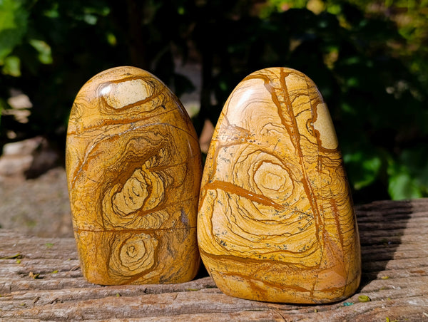 Polished Picture Stone Jasper Standing Free Forms x 2 From Ais-Ais, Namibia