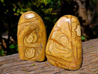 Polished Picture Stone Jasper Standing Free Forms x 2 From Ais-Ais, Namibia - Toprock Gemstones and Minerals 
