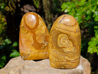 Polished Picture Stone Jasper Standing Free Forms x 2 From Ais-Ais, Namibia - Toprock Gemstones and Minerals 