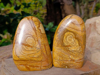 Polished Picture Stone Jasper Standing Free Forms x 2 From Ais-Ais, Namibia - Toprock Gemstones and Minerals 