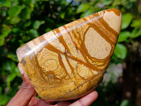 Polished Picture Stone Jasper Standing Free Forms x 2 From Ais-Ais, Namibia - Toprock Gemstones and Minerals 