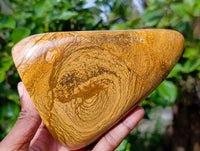 Polished Picture Stone Jasper Standing Free Forms x 2 From Ais-Ais, Namibia - Toprock Gemstones and Minerals 