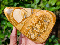 Polished Picture Stone Jasper Standing Free Forms x 2 From Ais-Ais, Namibia - Toprock Gemstones and Minerals 