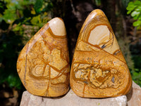 Polished Picture Stone Jasper Standing Free Forms x 2 From Ais-Ais, Namibia - Toprock Gemstones and Minerals 