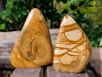 Polished Picture Stone Jasper Standing Free Forms x 2 From Ais-Ais, Namibia - Toprock Gemstones and Minerals 
