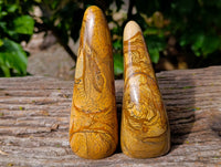 Polished Picture Stone Jasper Standing Free Forms x 2 From Ais-Ais, Namibia - Toprock Gemstones and Minerals 