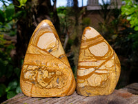 Polished Picture Stone Jasper Standing Free Forms x 2 From Ais-Ais, Namibia - Toprock Gemstones and Minerals 