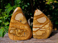 Polished Picture Stone Jasper Standing Free Forms x 2 From Ais-Ais, Namibia - Toprock Gemstones and Minerals 
