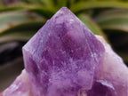 Natural Jacaranda Amethyst Clusters x 3 From Zambia - Toprock Gemstones and Minerals 