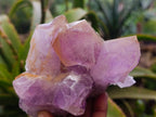 Natural Jacaranda Amethyst Clusters x 3 From Zambia - Toprock Gemstones and Minerals 