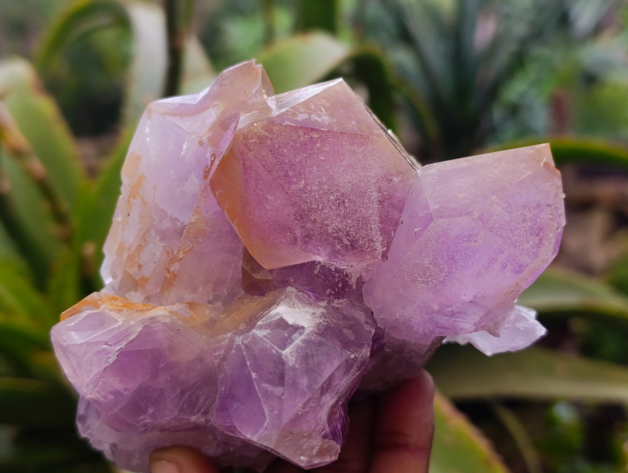 Natural Jacaranda Amethyst Clusters x 3 From Zambia - Toprock Gemstones and Minerals 