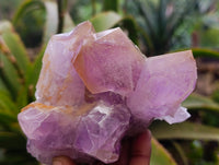Natural Jacaranda Amethyst Clusters x 3 From Zambia