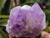 Natural Jacaranda Amethyst Clusters x 3 From Zambia