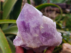 Natural Jacaranda Amethyst Clusters x 3 From Zambia - Toprock Gemstones and Minerals 
