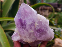 Natural Jacaranda Amethyst Clusters x 3 From Zambia