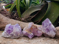 Natural Jacaranda Amethyst Clusters x 3 From Zambia