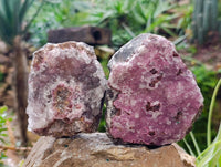 Natural Drusy Salrose with Chrysocolla, Malachite and Kaolinite Specimens x 4 From Kakanda, Congo