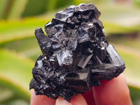 Natural Schorl Black Tourmaline, Smokey Quartz and Fluorite Specimens x 35 From Erongo, Namibia