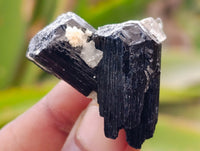Natural Schorl Black Tourmaline, Smokey Quartz and Fluorite Specimens x 35 From Erongo, Namibia