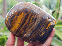 Polished Golden River Tigers Eye Standing Free Forms x 2 From Prieska, South Africa