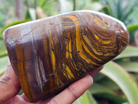 Polished Golden River Tigers Eye Standing Free Forms x 2 From Prieska, South Africa
