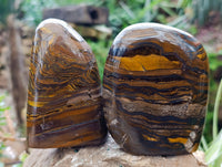 Polished Golden River Tigers Eye Standing Free Forms x 2 From Prieska, South Africa