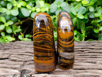 Polished Golden River Tigers Eye Standing Free Forms x 2 From Prieska, South Africa