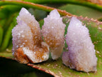 Natural Ametrine and Amethyst Spirit Quartz Clusters x 35 From South Africa - Toprock Gemstones and Minerals 