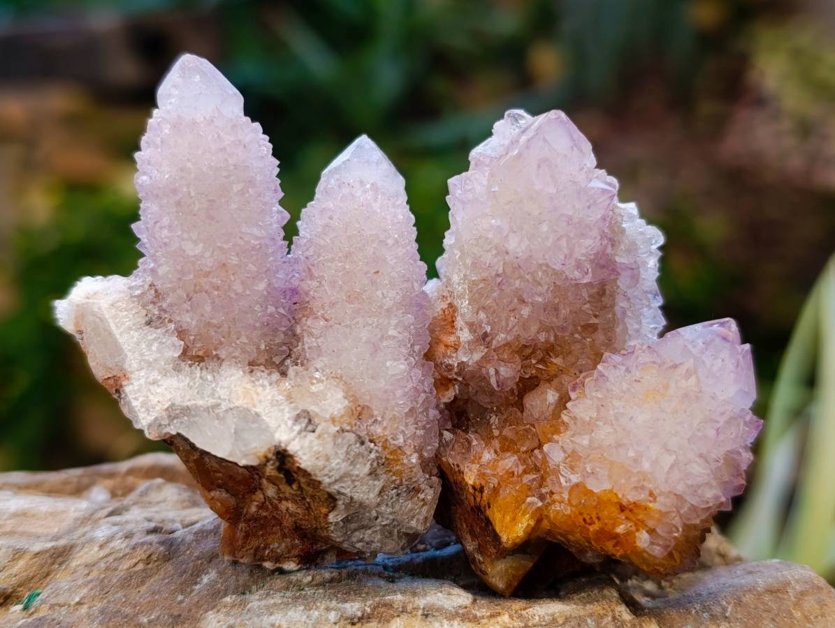 Natural Ametrine and Amethyst Spirit Quartz Clusters x 35 From South Africa - Toprock Gemstones and Minerals 