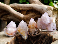 Natural Ametrine and Amethyst Spirit Quartz Clusters x 35 From South Africa