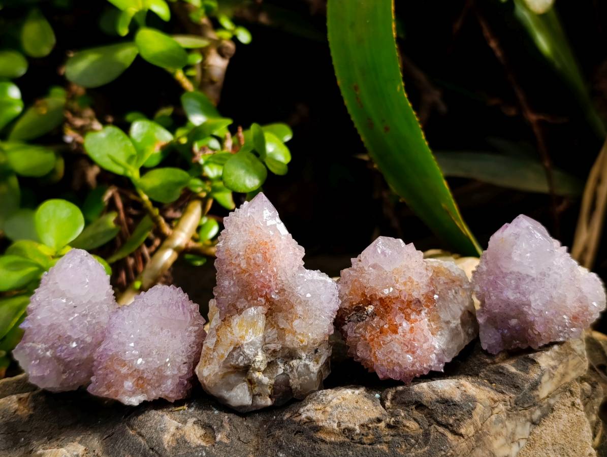 Natural Ametrine and Amethyst Spirit Quartz Clusters x 35 From South Africa - Toprock Gemstones and Minerals 