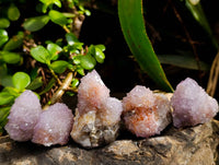 Natural Ametrine and Amethyst Spirit Quartz Clusters x 35 From South Africa