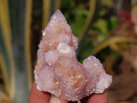 Natural Ametrine and Amethyst Spirit Quartz Clusters x 35 From South Africa