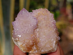 Natural Ametrine and Amethyst Spirit Quartz Clusters x 35 From South Africa - Toprock Gemstones and Minerals 
