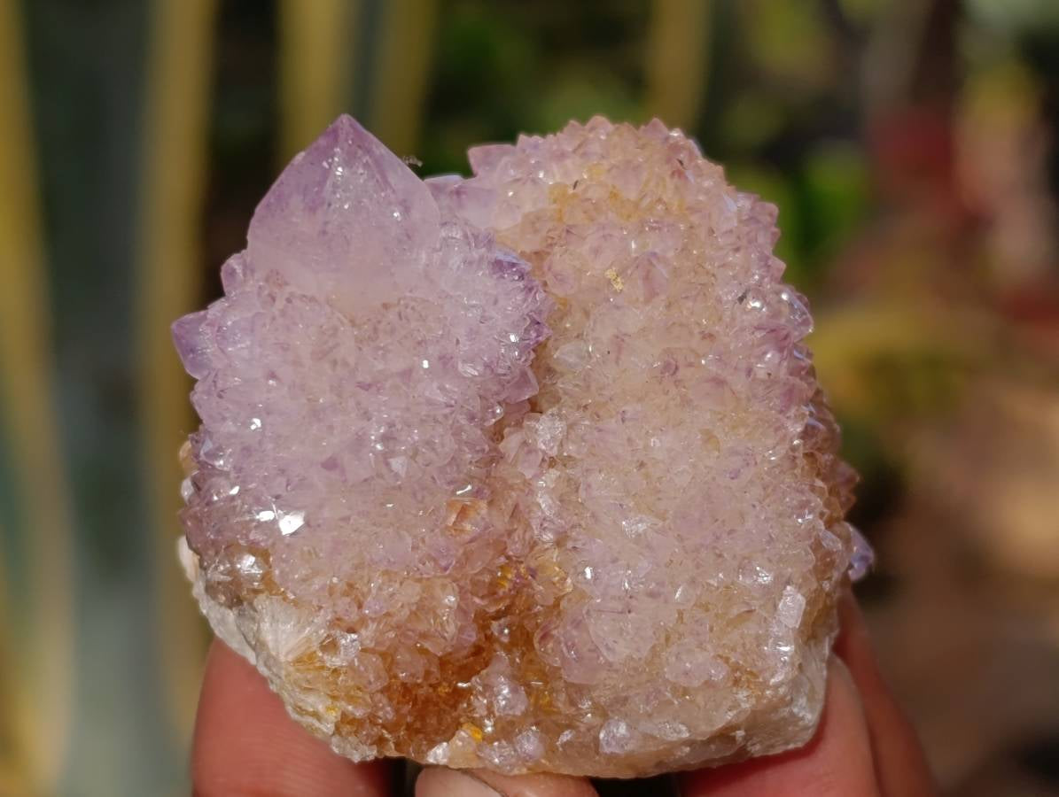 Natural Ametrine and Amethyst Spirit Quartz Clusters x 35 From South Africa - Toprock Gemstones and Minerals 
