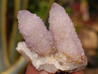 Natural Ametrine and Amethyst Spirit Quartz Clusters x 35 From South Africa