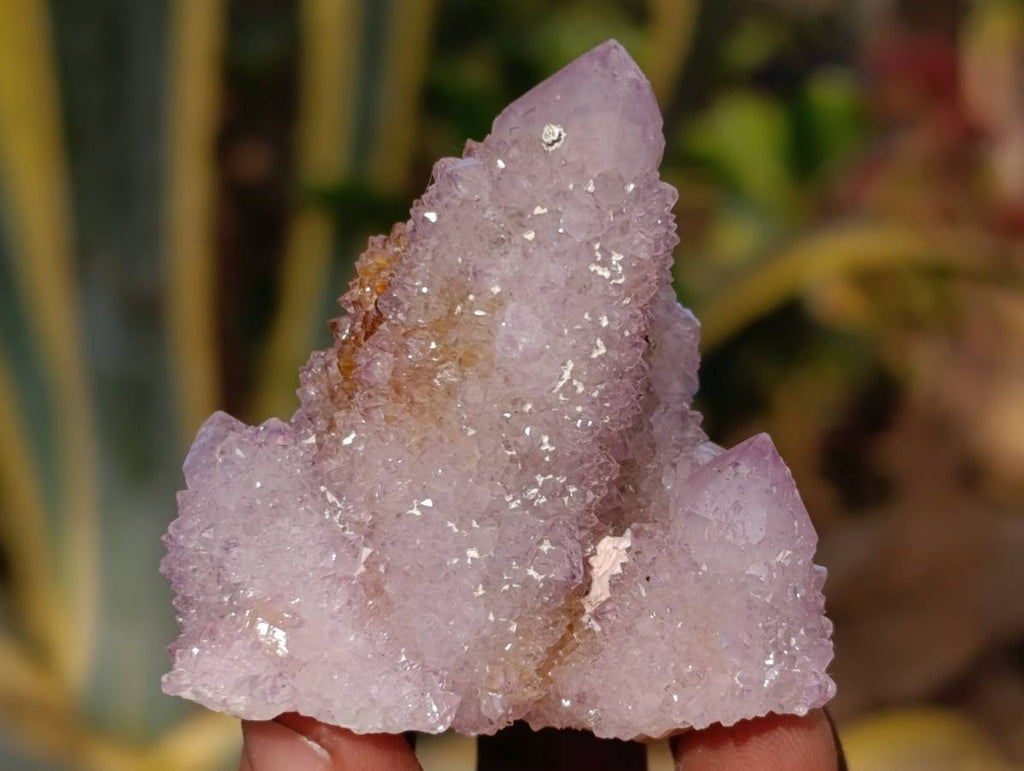 Natural Ametrine and Amethyst Spirit Quartz Clusters x 35 From South Africa - Toprock Gemstones and Minerals 