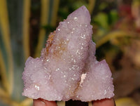 Natural Ametrine and Amethyst Spirit Quartz Clusters x 35 From South Africa