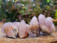 Natural Ametrine and Amethyst Spirit Quartz Clusters x 35 From South Africa