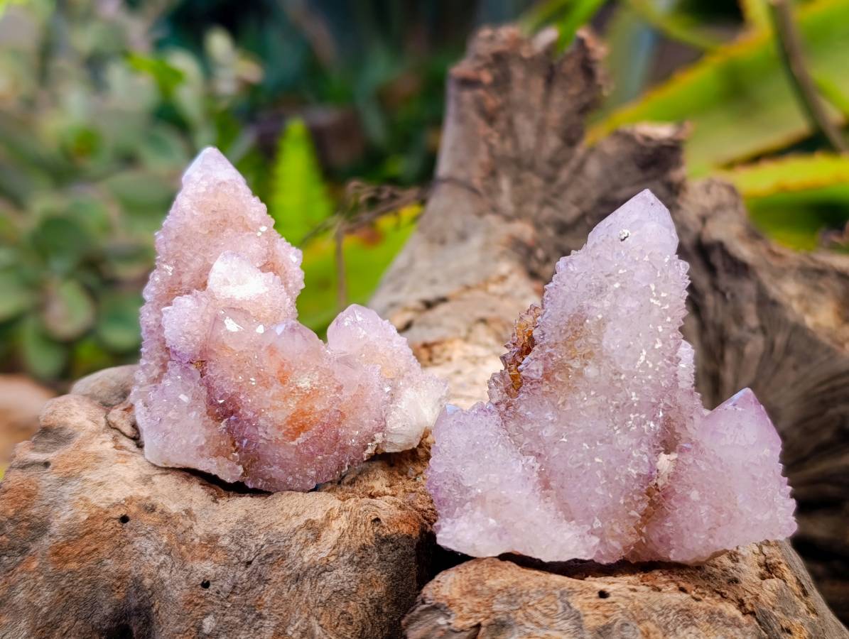 Natural Ametrine and Amethyst Spirit Quartz Clusters x 35 From South Africa - Toprock Gemstones and Minerals 