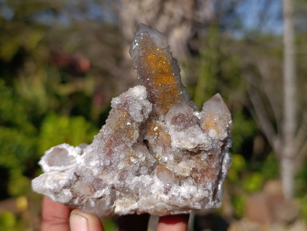 Natural Fairy Spirit Quartz Fingers x 20 From South Africa - Toprock Gemstones and Minerals 