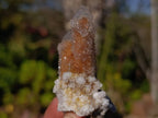 Natural Fairy Spirit Quartz Fingers x 20 From South Africa - Toprock Gemstones and Minerals 