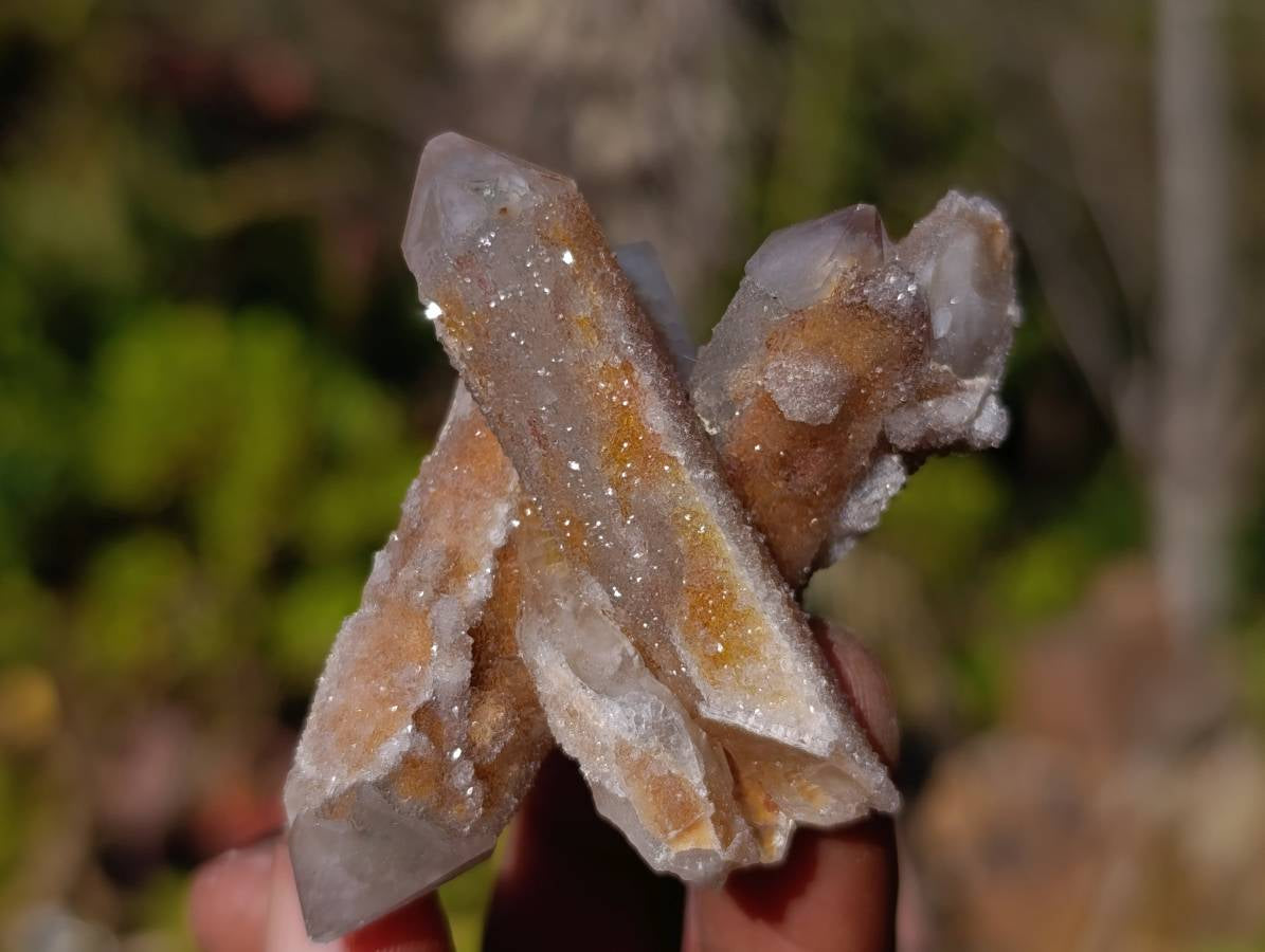 Natural Fairy Spirit Quartz Fingers x 20 From South Africa - Toprock Gemstones and Minerals 