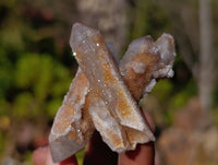 Natural Fairy Spirit Quartz Fingers x 20 From South Africa