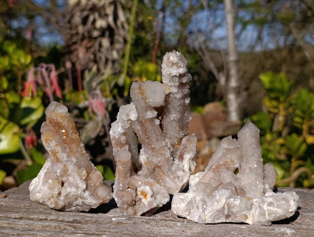 Natural Fairy Spirit Quartz Fingers x 20 From South Africa - Toprock Gemstones and Minerals 