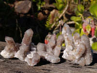 Natural Fairy Spirit Quartz Fingers x 20 From South Africa