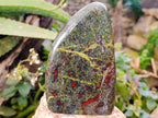 Polished Bastite Dragons Blood Standing Free Forms x 2 From Tshipise, South Africa - Toprock Gemstones and Minerals 