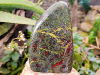 Polished Bastite Dragons Blood Standing Free Forms x 2 From Tshipise, South Africa