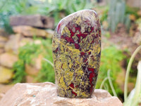 Polished Bastite Dragons Blood Standing Free Forms x 2 From Tshipise, South Africa